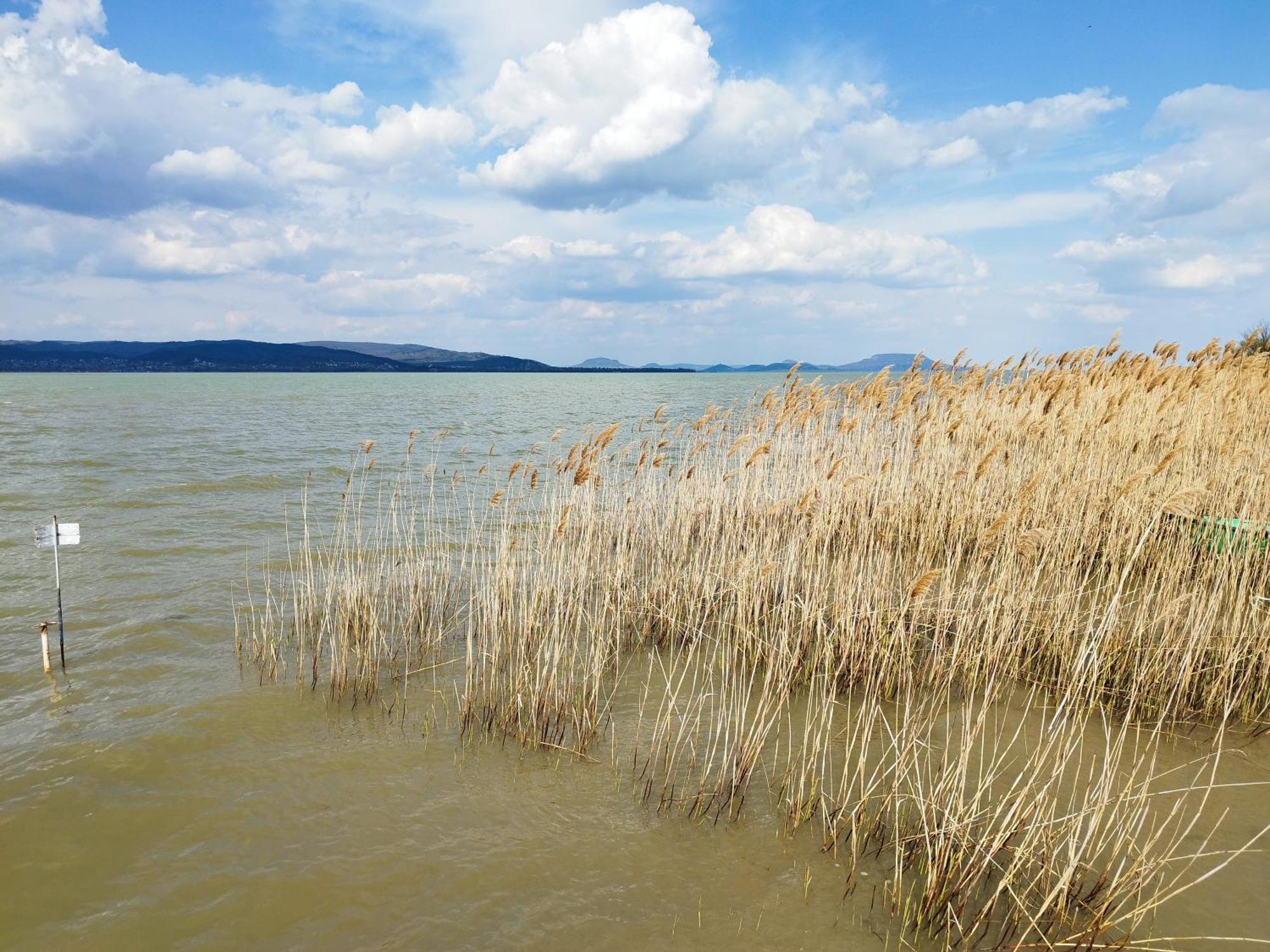 Margareta Etterem Es Vendeghaz Gasthaus Balatonberény エクステリア 写真